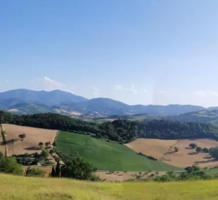 A Casa Di Matisse - Appartamento Vacanze Urbino Exterior foto
